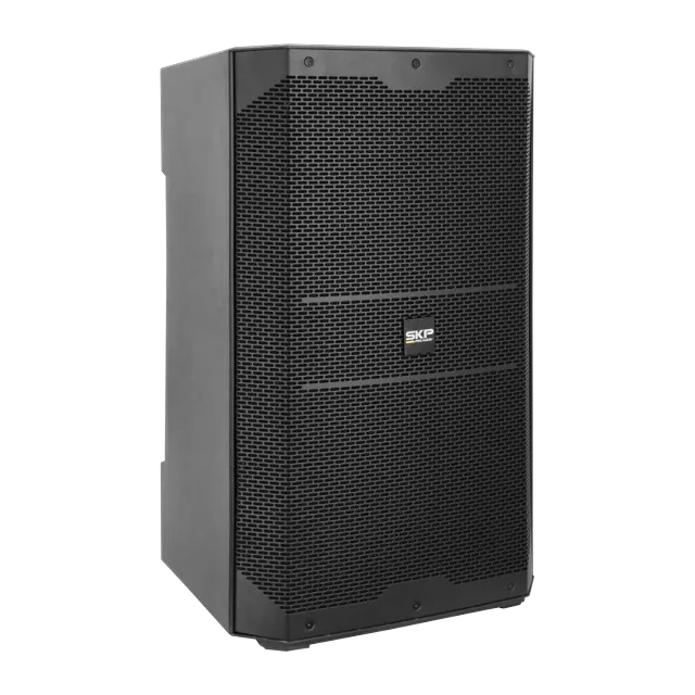 SKP DX10